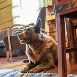 Nyaraló Tuomaantupa By Interhome *