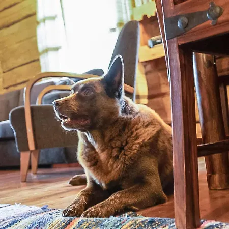 度假居 Tuomaantupa By Interhome *