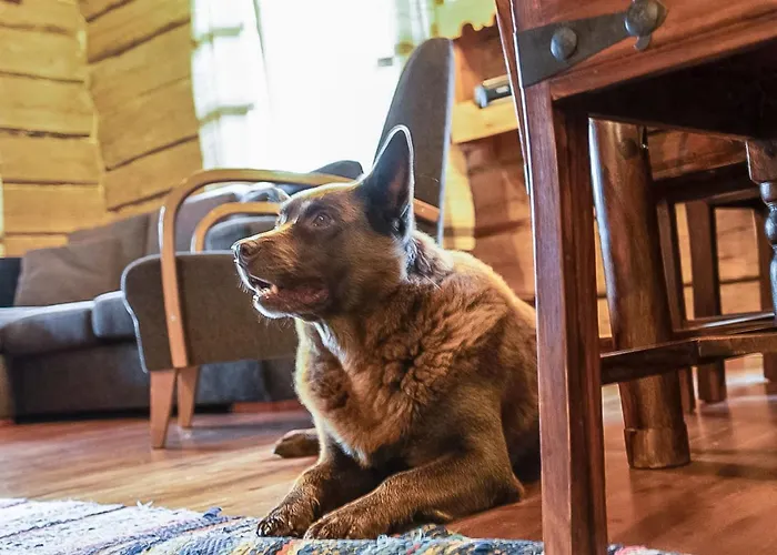 Σπίτι διακοπών Tuomaantupa By Interhome *